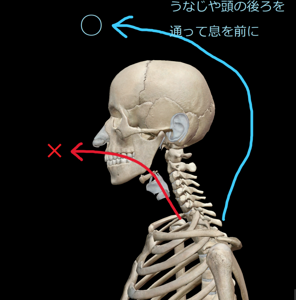 声量がない人必見 声量アップして豊かな響きで歌うための方法 永井友梨佳ボーカル教室 ボイトレ 声楽レッスン 練馬区 江古田 新桜台